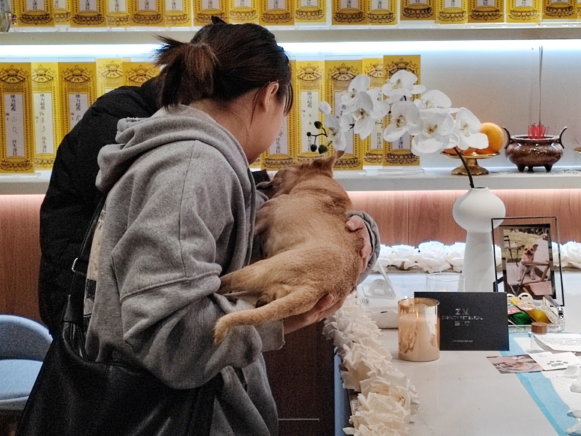 1740385638102754.jpg 微信图片_20250105180012.jpg