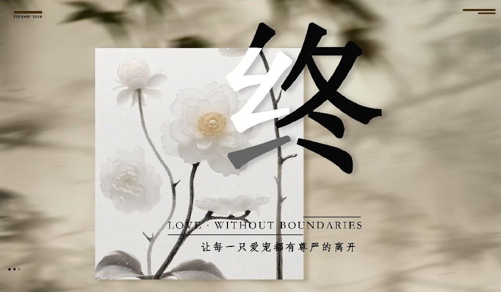 投身宠物殡葬，开启爱与责任新征程