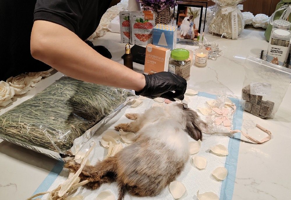 宠物去世后，有相关的火化服务吗？