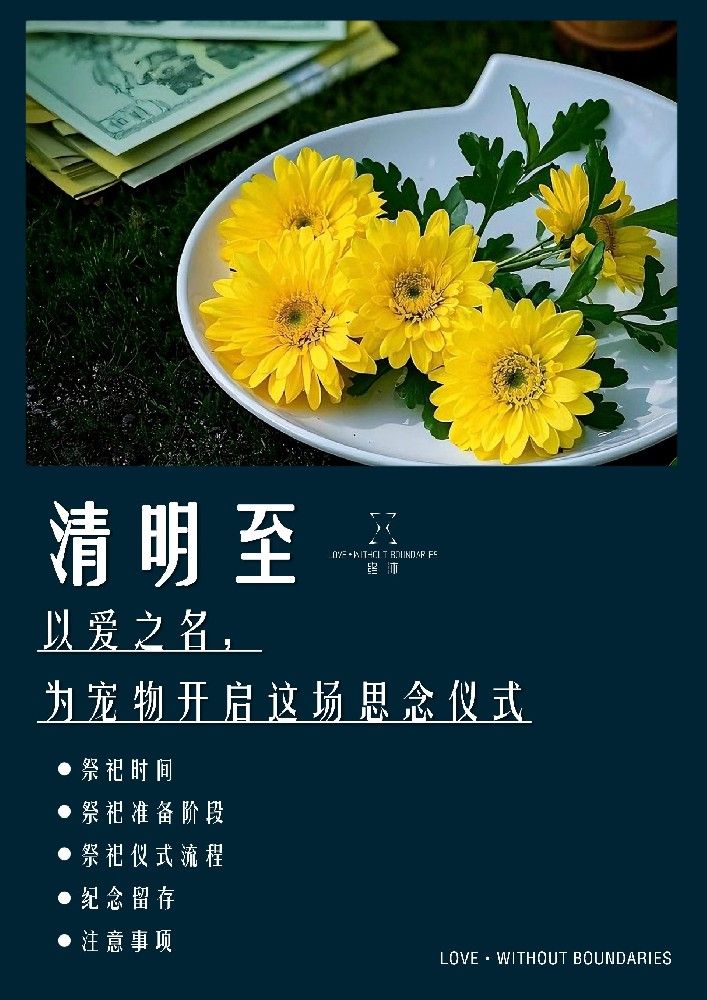 清明至 | 以爱之名，为爱宠开启这场思念仪式