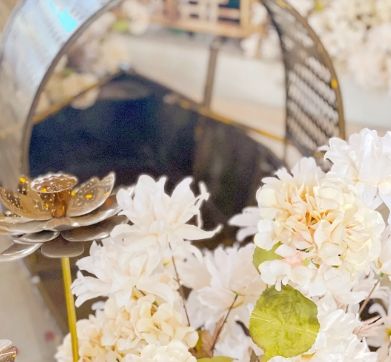 破除宠物殡葬偏见：尊重生命，正视行业