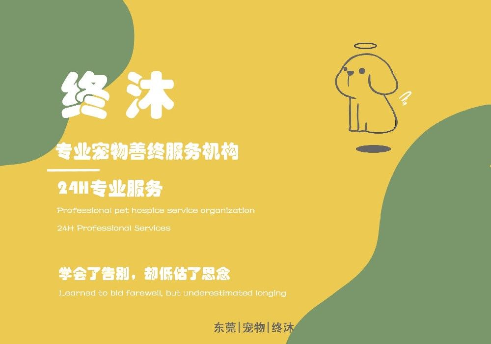 终沐首个SOP体系如何重塑宠物善终服务价值？