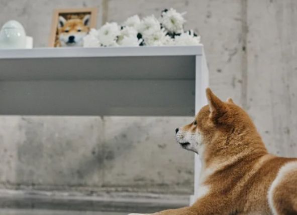 1748937223367132.jpg 微信截图_20250603155328.jpg