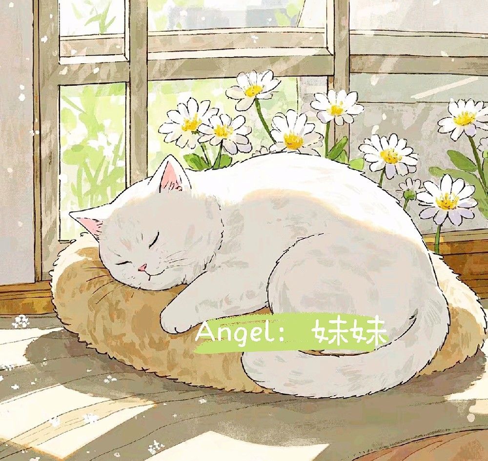 与爱告别：宠物离世后的治愈指南