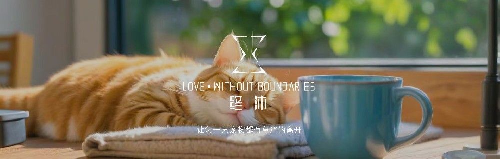 在你的城市也开一间“终沐”宠物善终门店如何?