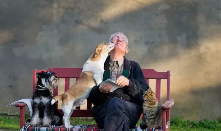 这一天终于来了！