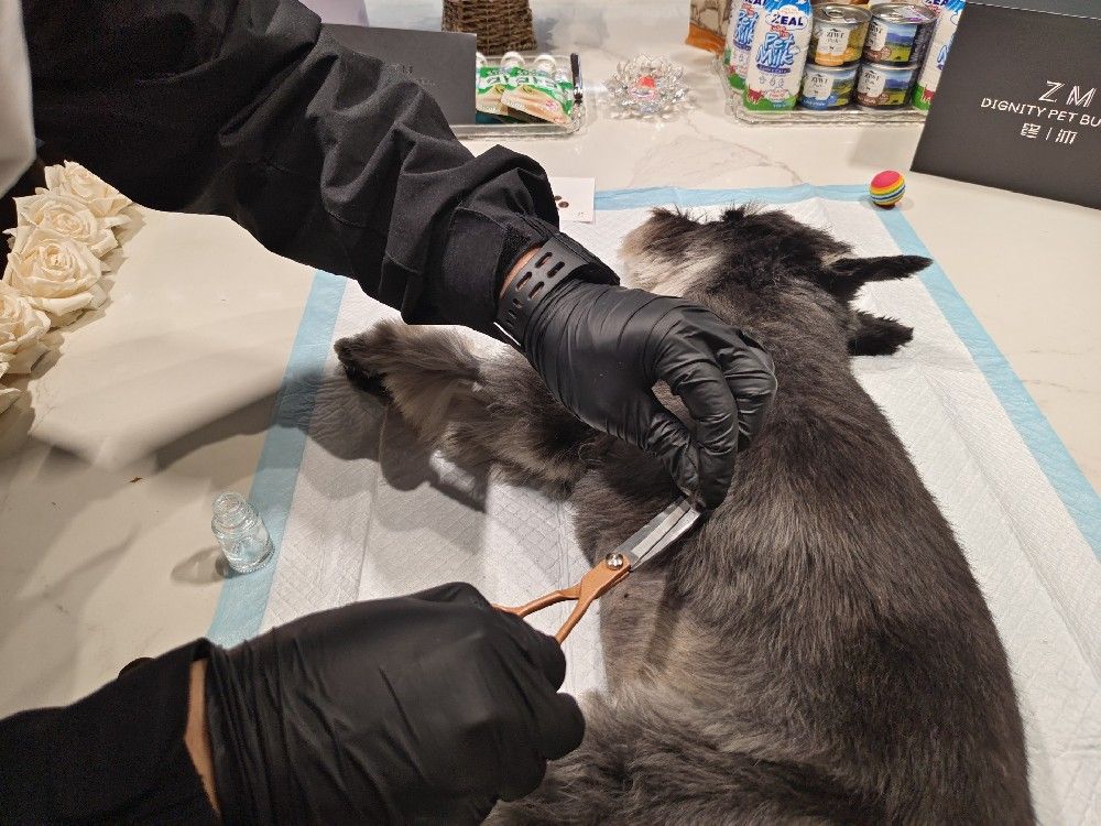 宠物殡葬行业现状