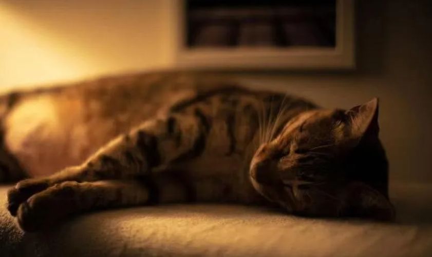 那一场“告别”