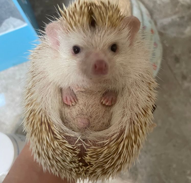 1750092407210718.jpg 微信图片_20250617004233.jpg