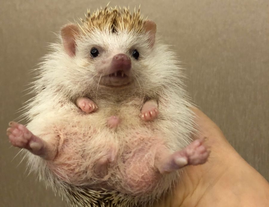 1750092547188378.jpg 微信图片_20250617004232.jpg