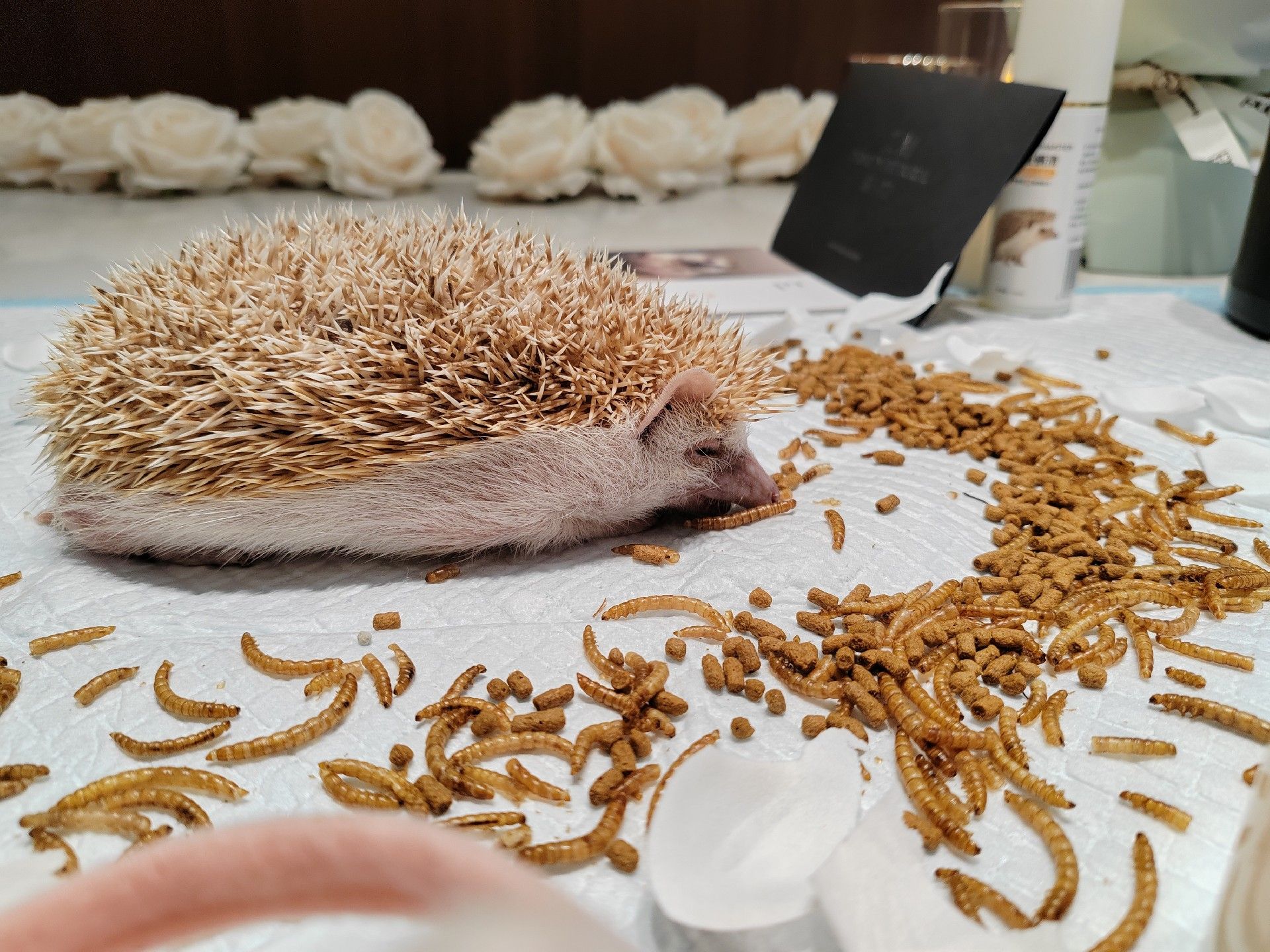 1750092697931503.jpg 微信图片_20250617004230.jpg