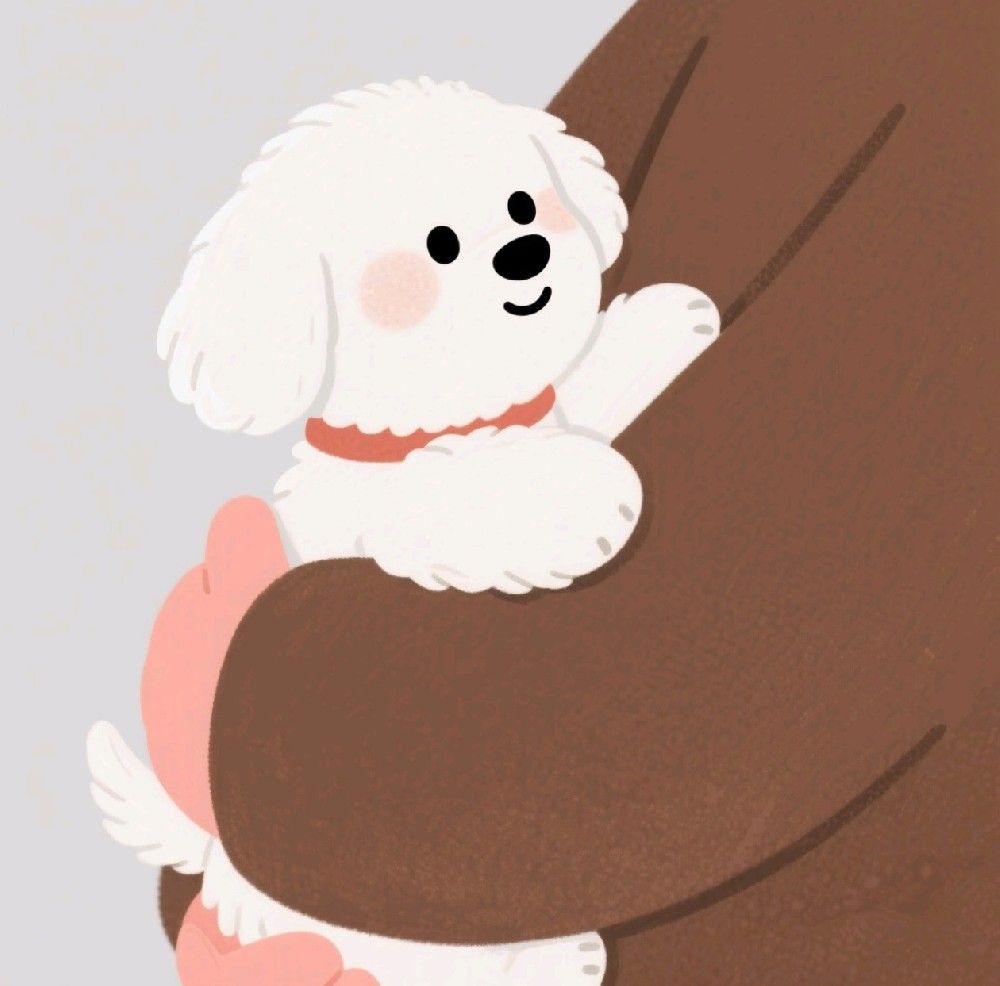 别再这样抱狗狗了！