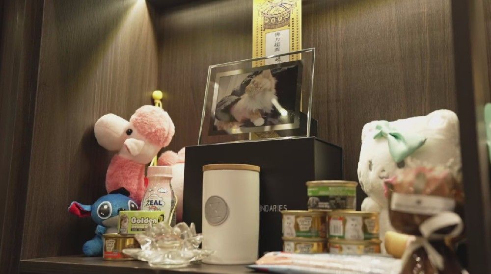 这些宠物行业的新兴岗位，你了解吗？