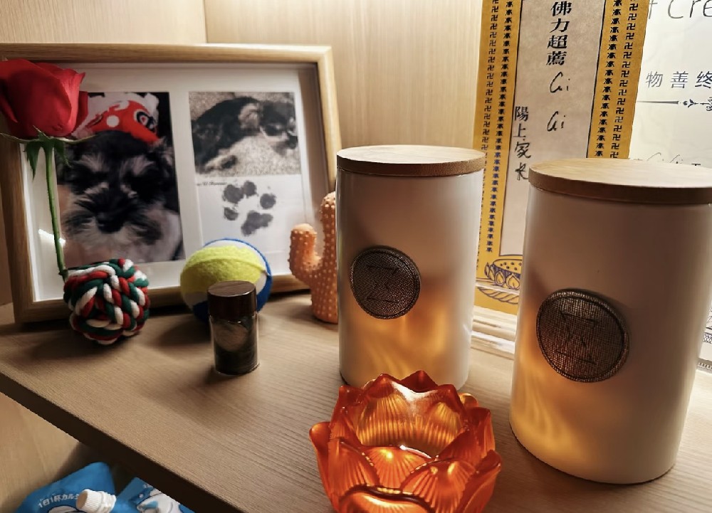这个宠物殡葬品牌凭什么脱颖而出？