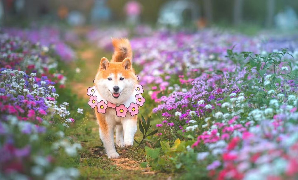 终沐如何服务好宝贝和家长？