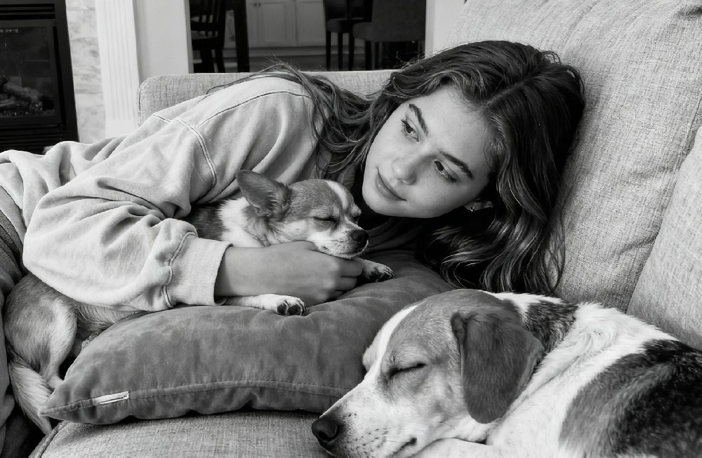 终沐是如何“搅局”中国的宠物殡葬行业的？