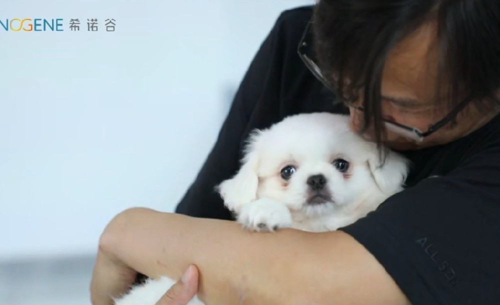 当生命科学邂逅挚爱伙伴，我们开启「生命延续」的全新篇章