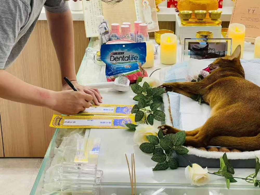 当离别有了温度：「终沐」如何引领我们学会好好说再见