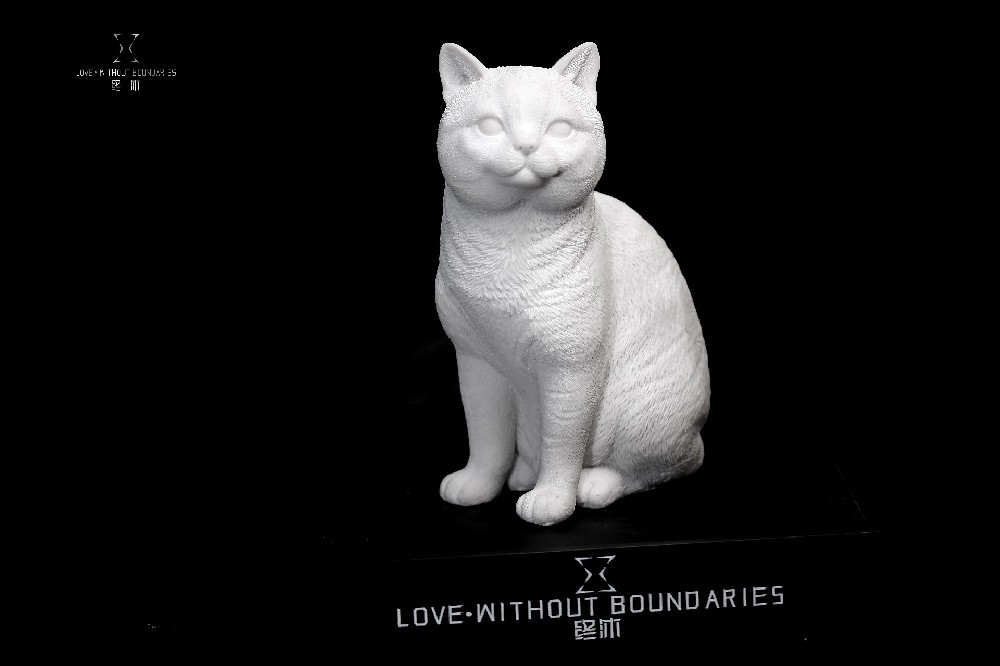 最后的路，有光｜一个宠物善终店员的记事本